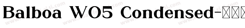 Balboa W05 Condensed字体转换